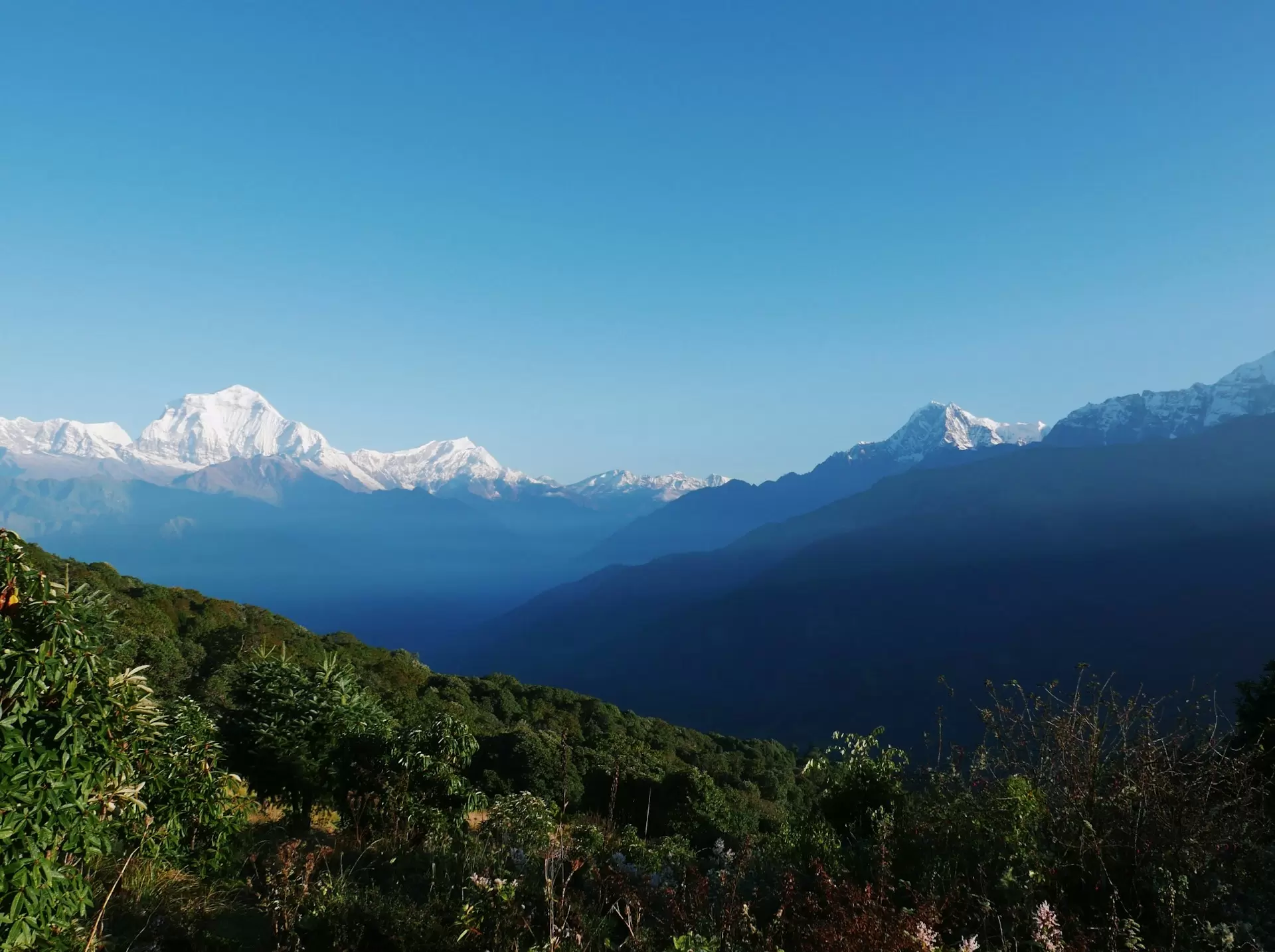 Ghorepani Poon Hill Trekking